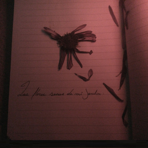 solo quiero escuchar tu voz