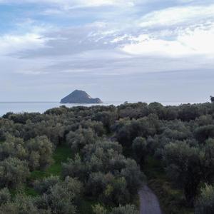 "Τέτοιο Κορίτσι"