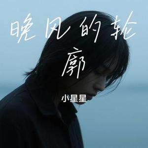 晚风的轮廓 (Cover 陆杰awr)