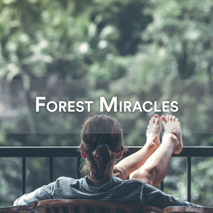 Relaxing Bird Sounds