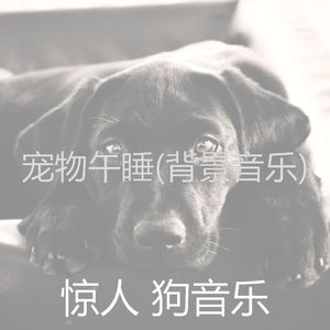 鼓舞人心(休息的狗)