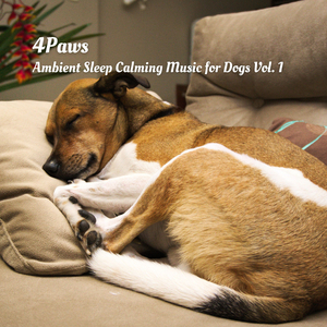 Chakra Healing Music