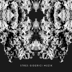 Yağmur Ormanlarında Nehir