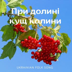 При долині кущ калини