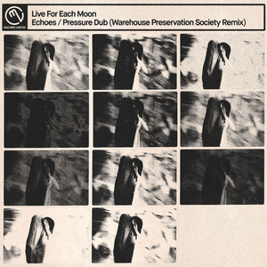 Pressure Dub (Warehouse Preservation Society Remix)