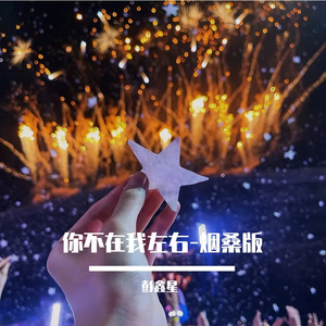 《你不在我左右》-烟嗓版