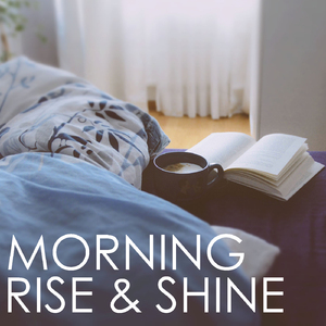 Concerto for Piano and Orchestra in D major, No. 2, HOB 18: I