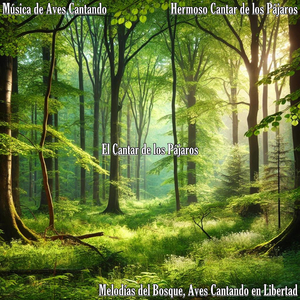 Trinos del Bosque, Aves en Concierto