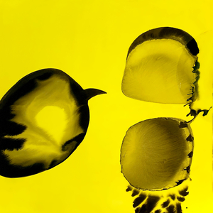 Nicolas Winding Refn