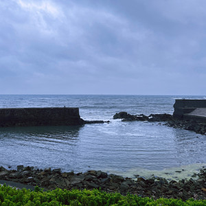 你是我年少求剑时刻的舟