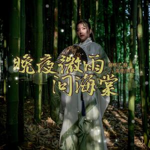 晚夜微雨问海棠