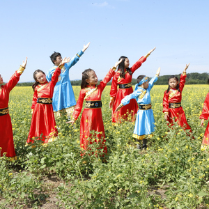 - 映山红（姜紫菲 remix）