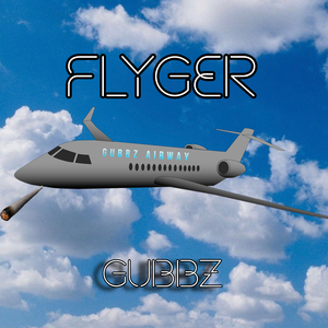 FLYGER