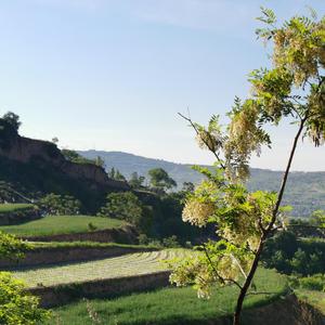庄浪县河湾村采风