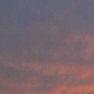 后来-（撕心裂肺版）