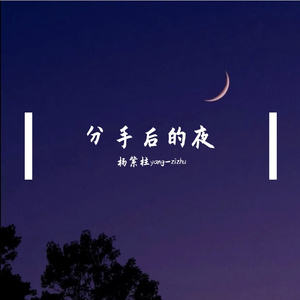 分手后的夜