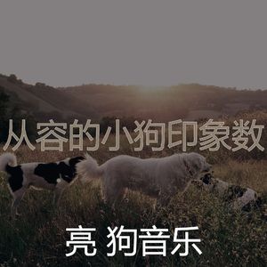 有趣可爱的狗情怀