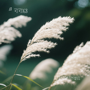 幸福的悄然出现