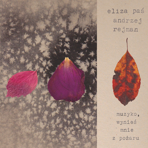 Jestem w drodze do domu