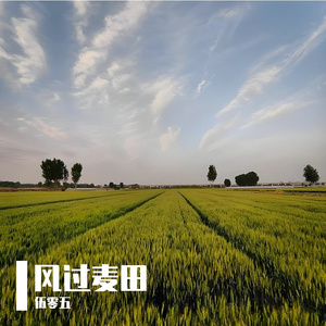 风过麦田