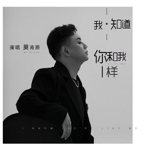 我知道你和我一样 伴奏