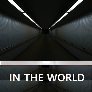 IN THE WORLD
