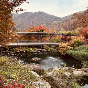 다시 사랑 할거야