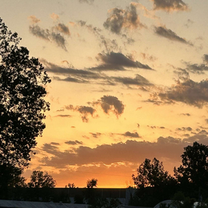 don’t make me do it