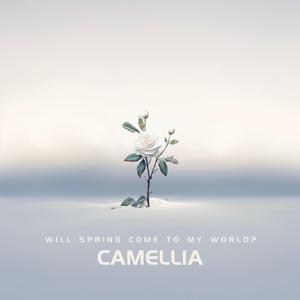 Camellia