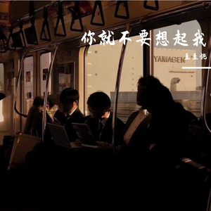 你就不要想起我