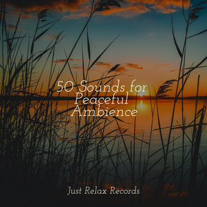 Vanishing Trails of Mist