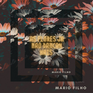 As flores já não dançam mais