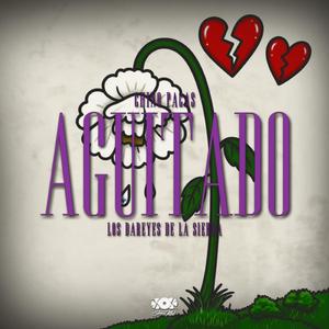 AGÜITADO