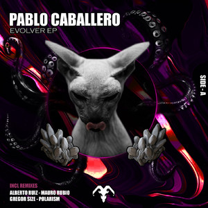 Evolver (Mauro Rubio remix)