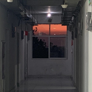 我多想