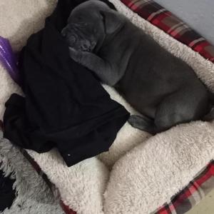 Not Like us (Freestyle) (feat. AB THA GODD)