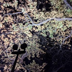 Rökridåer och villospår