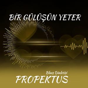 Bir Gülüşün Yeter | Türkçe Blues (Official Audio)