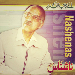 Raata Rebar Navi Palmay Rawray