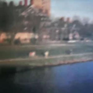 查尔斯湖畔小径（beat by Xiangyue）