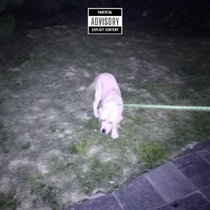 Unambiguous Freestyle