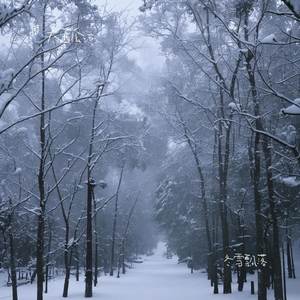 冬雪飘落（纯享版）