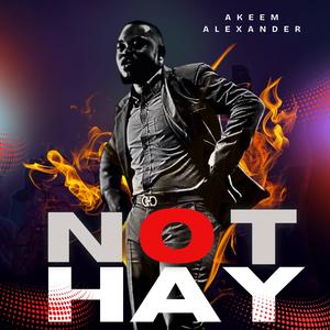 Not Hay