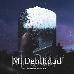 Mi Debilidad (Remix)