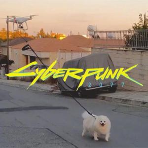 五分钟看清差距