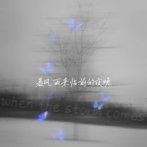 暴风雨来临前的夜晚