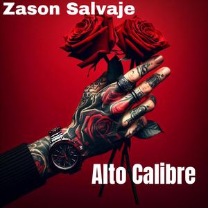 Alto Calibre