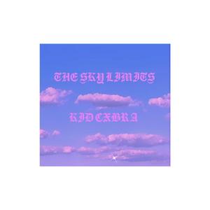 THE SKY LI MITS