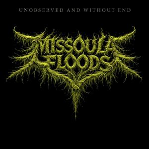 Unobserved and WIthout End