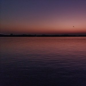 她不爱我 像沙漠不懂雨落